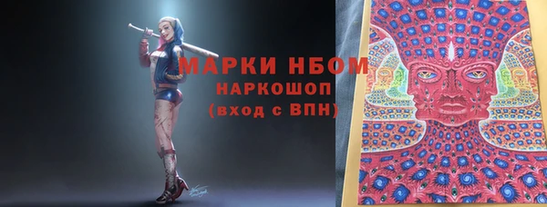 прущие грибы Дегтярск