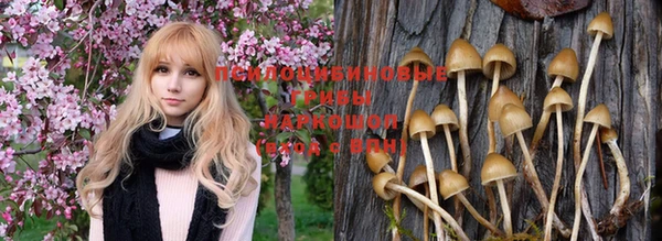 мяу мяу кристалл Новодвинск